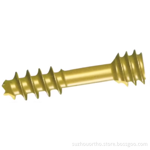 Herbert Screw (cancellous)